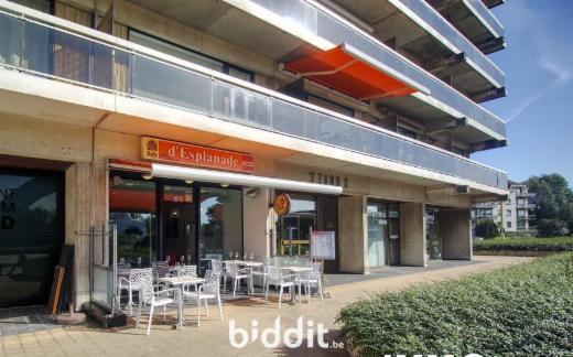 Image de présentation du bien n° 291729