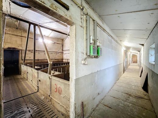 Troisième photo alternative du bien