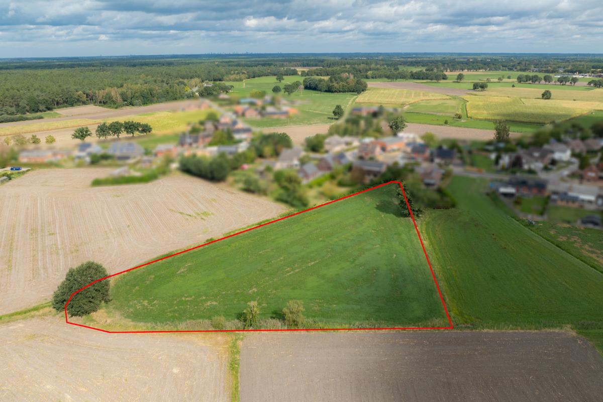 Image de présentation du bien n° 302652
