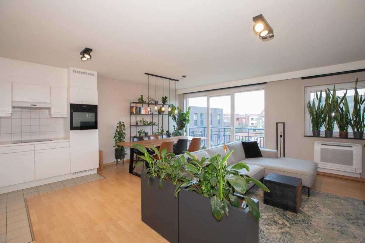 Image de présentation du bien n° 293212