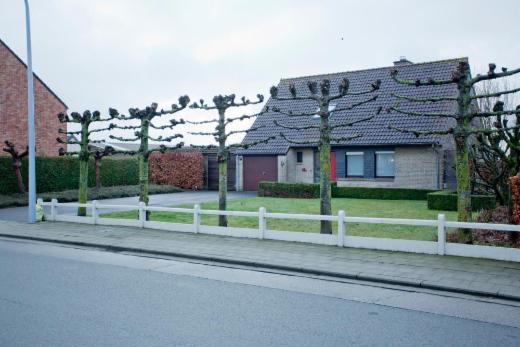 Image de présentation du bien n° 293360