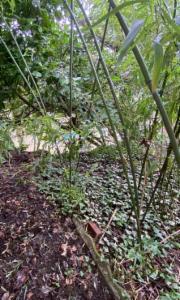 Seconde photo alternative du bien