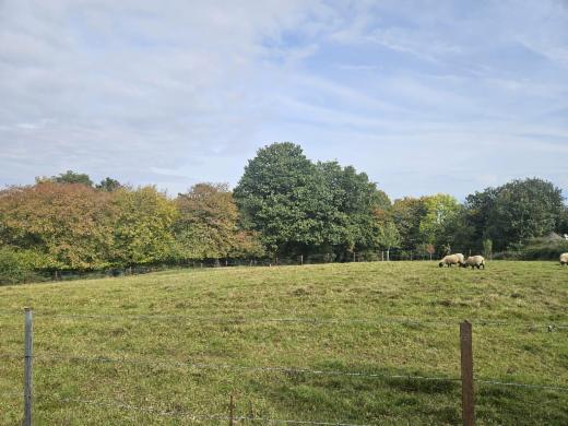 Première photo alternative du bien