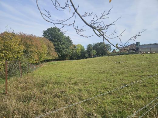 Troisième photo alternative du bien