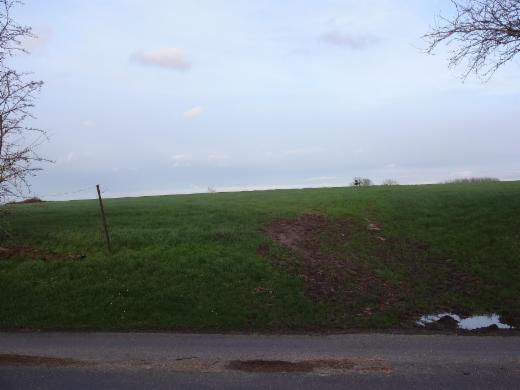 Première photo alternative du bien