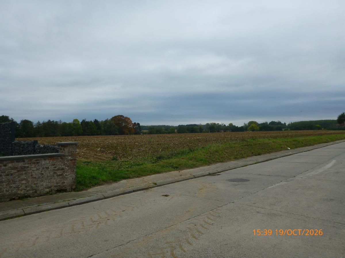 Image de présentation du bien n° 303688