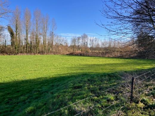 Image de présentation du bien n° 293328