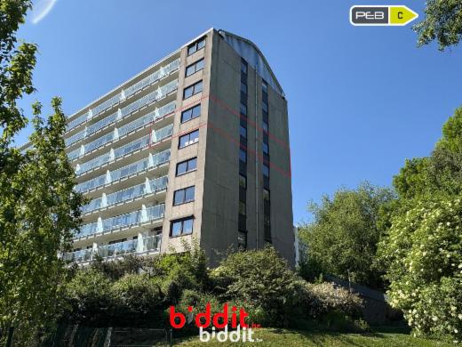 Image de présentation du bien n° 283366