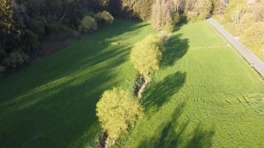Image de présentation du bien n° 283701