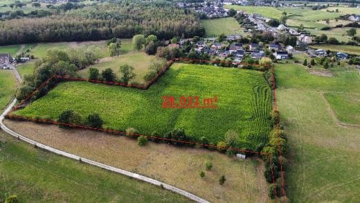 Image de présentation du bien n° 303256