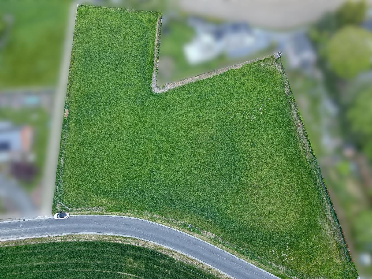 Image de présentation du bien n° 295919