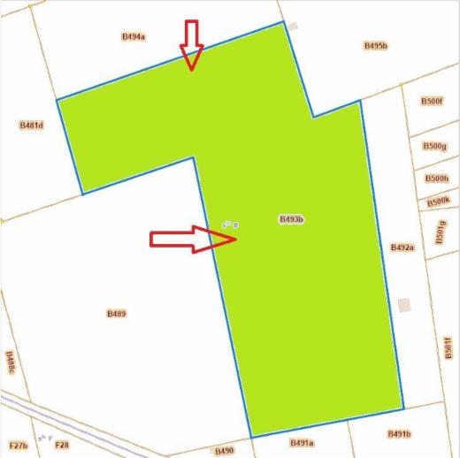 Image de présentation du bien n° 293720