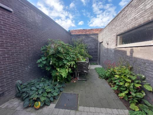 Troisième photo alternative du bien