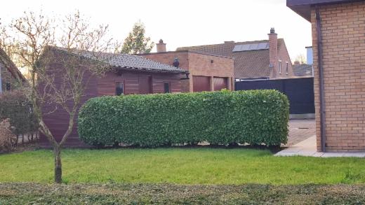 Troisième photo alternative du bien