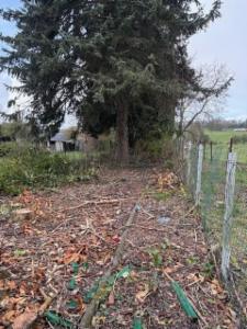 Première photo alternative du bien