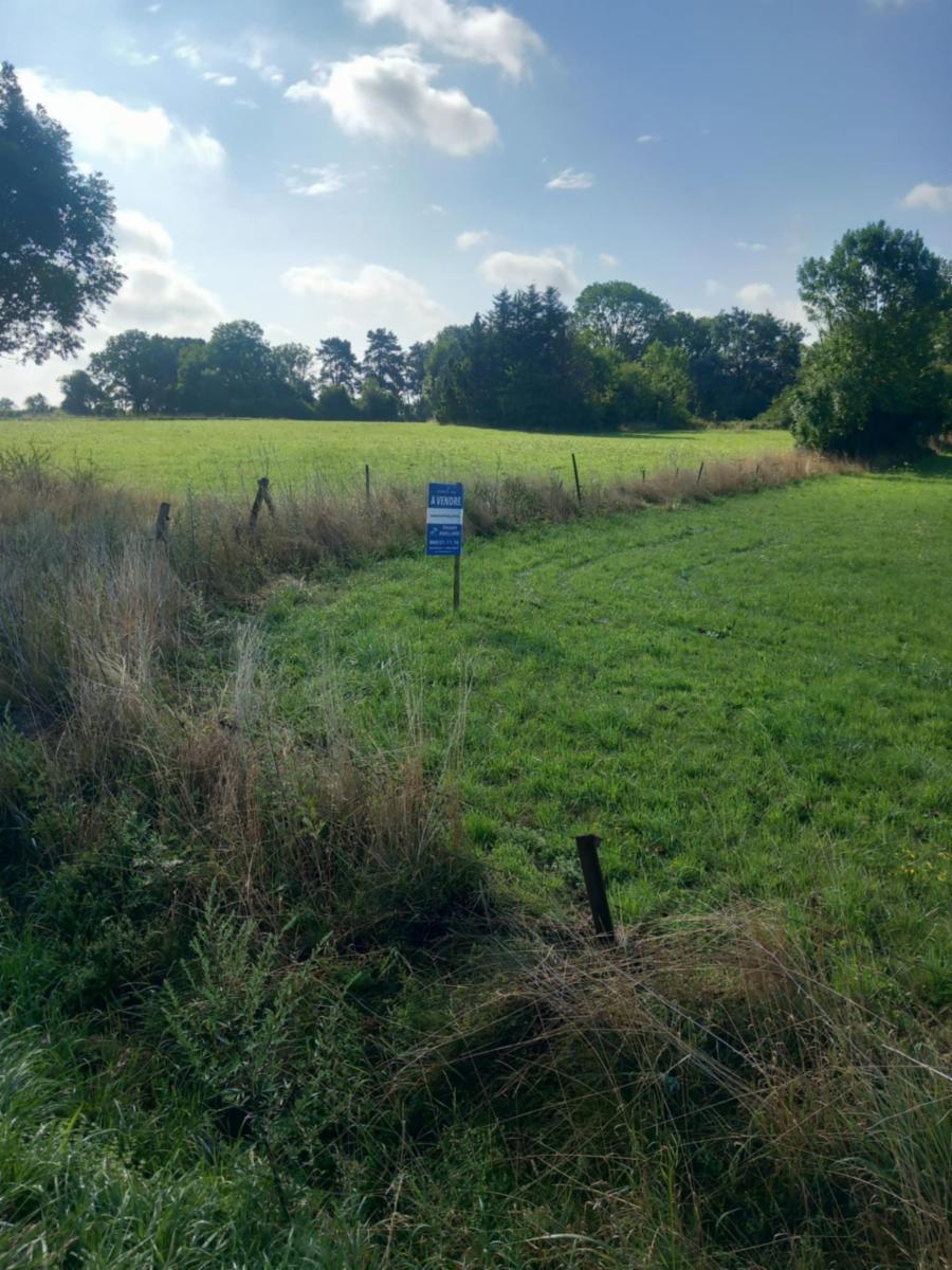 Image de présentation du bien n° 284975