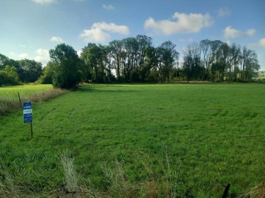 Première photo alternative du bien