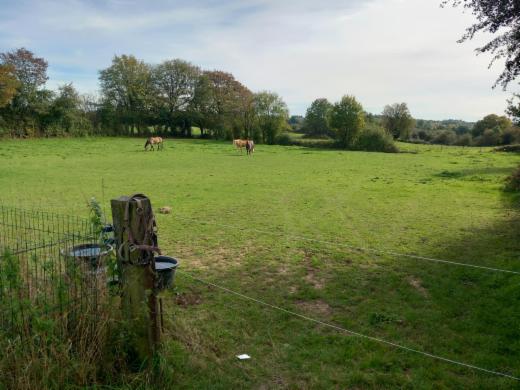 Image de présentation du bien n° 288890