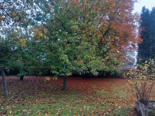 Seconde photo alternative du bien