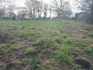 Troisième photo alternative du bien