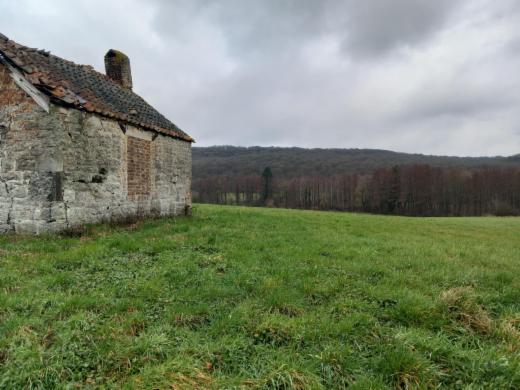 Première photo alternative du bien