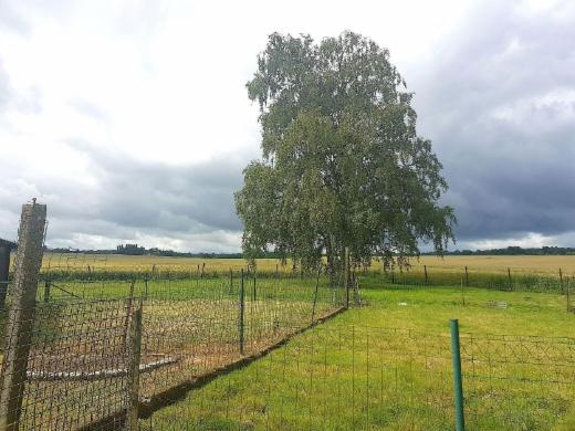 Troisième photo alternative du bien