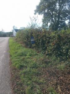 Image de présentation du bien n° 302074