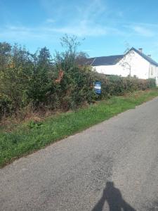 Image de présentation du bien n° 302376