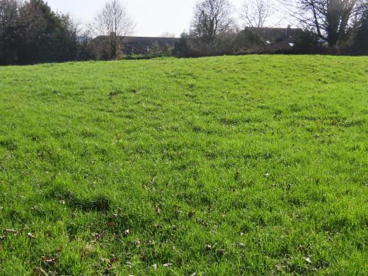 Première photo alternative du bien