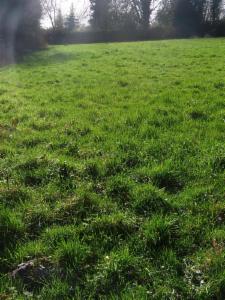 Troisième photo alternative du bien