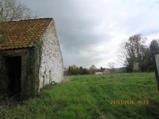 Image de présentation du bien n° 294788