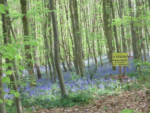 Image de présentation du bien n° 295161