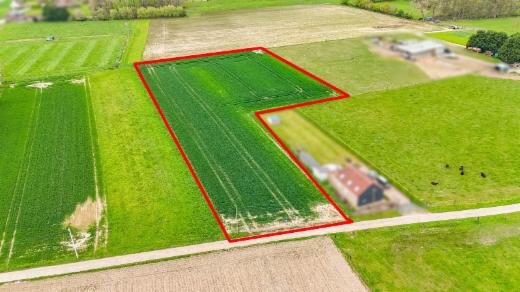 Image de présentation du bien n° 295566