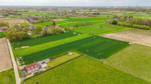 Troisième photo alternative du bien