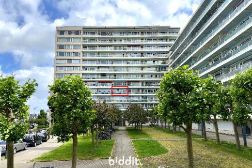 Image de présentation du bien n° 283524