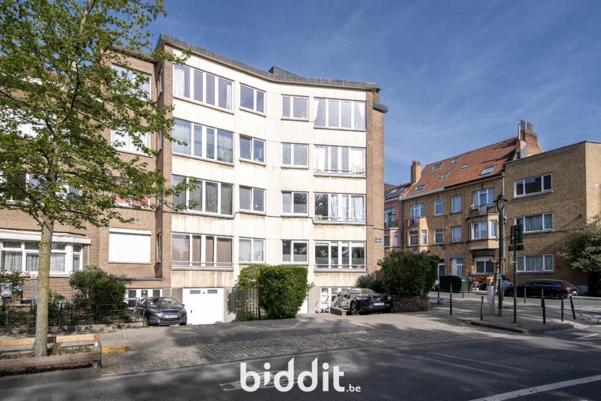 Image de présentation du bien n° 296094
