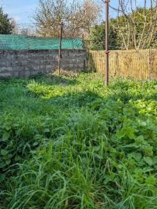 Seconde photo alternative du bien