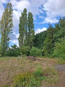 Troisième photo alternative du bien