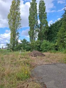 Seconde photo alternative du bien