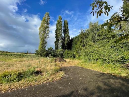 Image de présentation du bien n° 286767