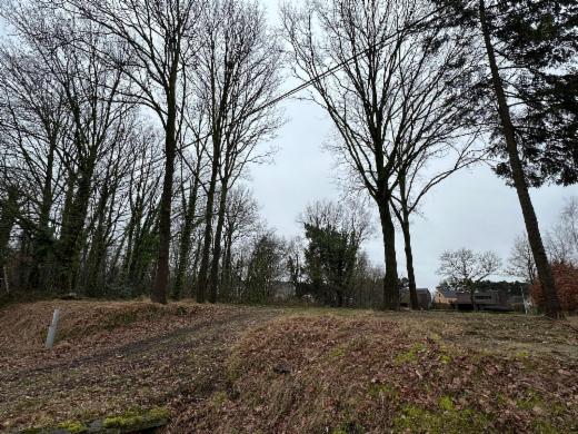 Troisième photo alternative du bien