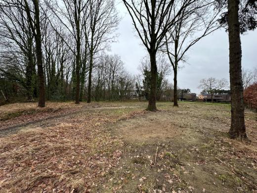 Première photo alternative du bien