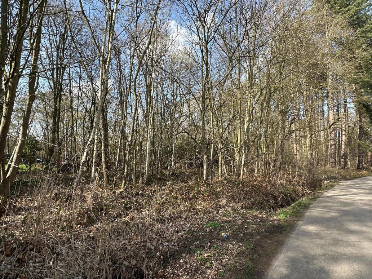 Image de présentation du bien n° 293654