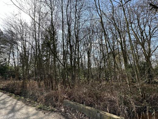 Première photo alternative du bien