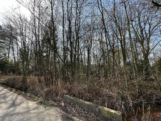 Seconde photo alternative du bien