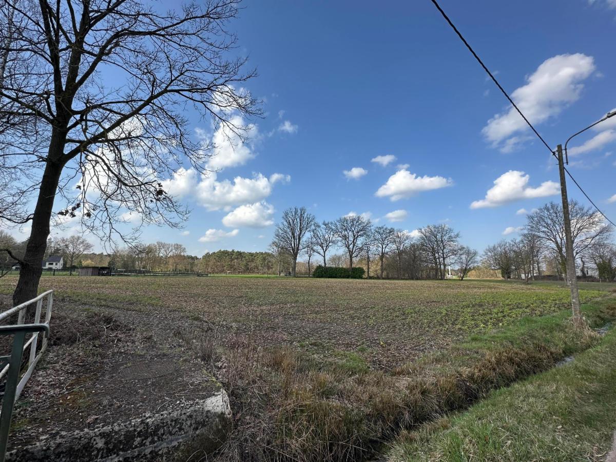 Image de présentation du bien n° 293913