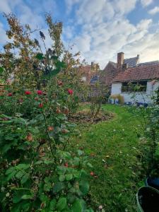 Troisième photo alternative du bien