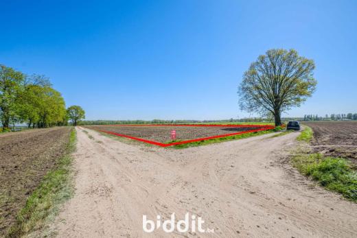 Première photo alternative du bien