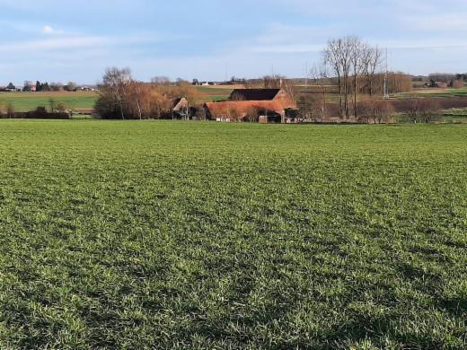 Troisième photo alternative du bien