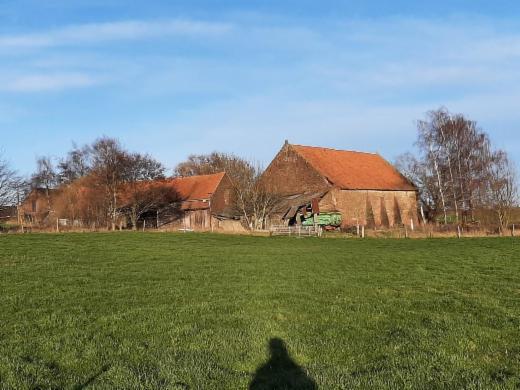 Image de présentation du bien n° 292536